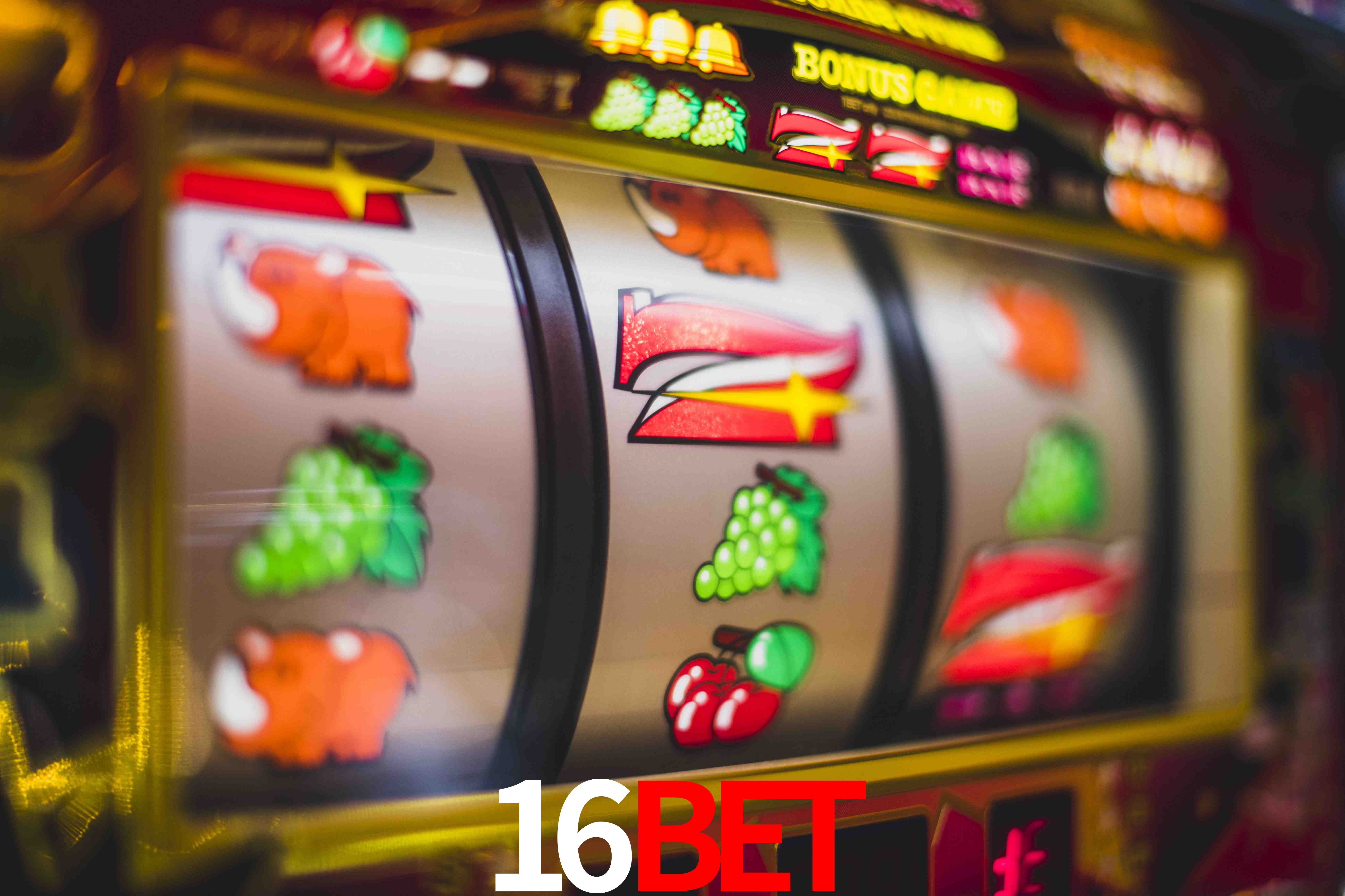 Live Casino 16bet
